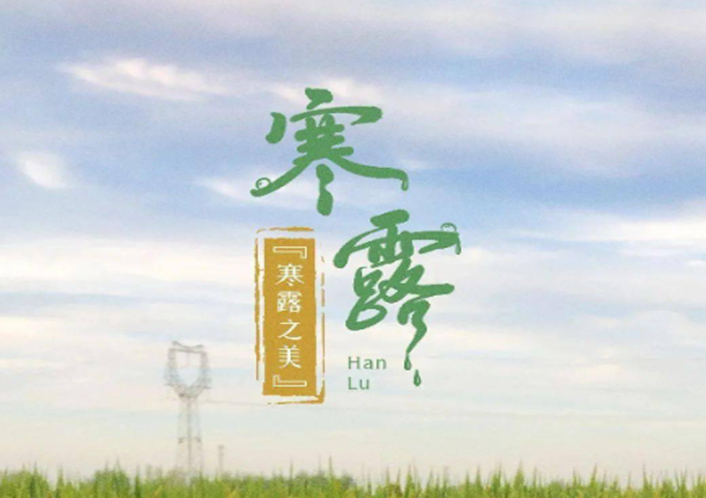 寒露凝匠心 镁材启新程 | 深耕镁盐赛道,护航下游产业秋冬稳产